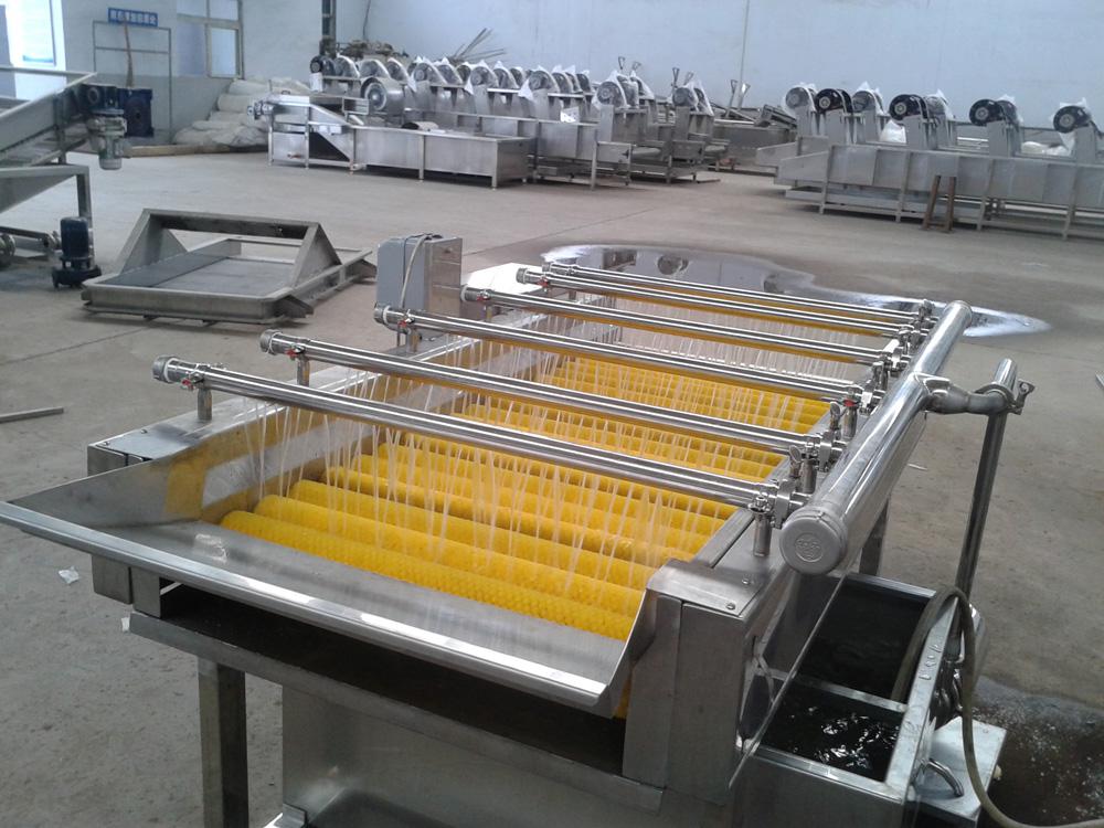 果蔬毛刷清洗機(jī)