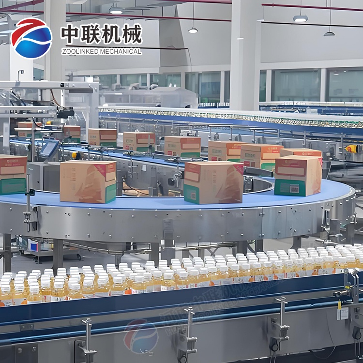 整套雞心果飲料生產(chǎn)線設備